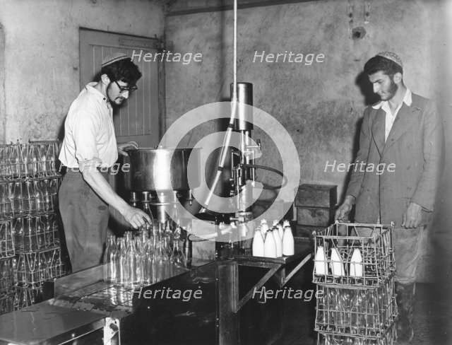 Kosher dairy, (1950?). Creator: EH Emanuel.