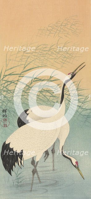 Two cranes, 1925-1936. Creator: Ohara, Koson (1877-1945).