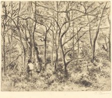 Wooded Landscape at L'Hermitage, Pontoise (Paysage sous bois, a L'Hermitage, Pontoise), 1879. Creator: Camille Pissarro.