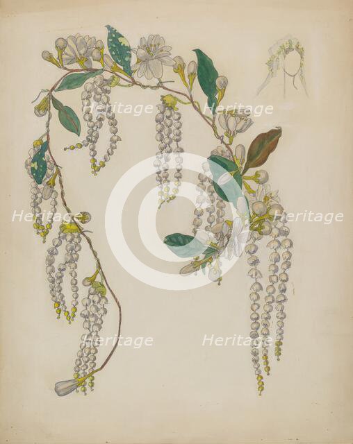 Bridal Wreath, 1935/1942. Creator: Verna Tallman.