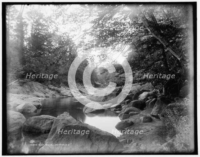 Glen Ellis, Jackson, N.H., between 1890 and 1901. Creator: Unknown.