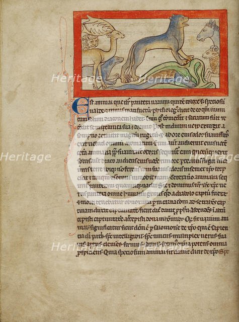 A Panther; Northumberland Bestiary, about 1250-1260. Creator: Unknown.