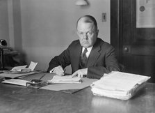 Woolley, Robert W., Commissioner, I.C.C.; Director of Mint; Director of Publicity, 1st Lib..., 1917. Creator: Harris & Ewing.