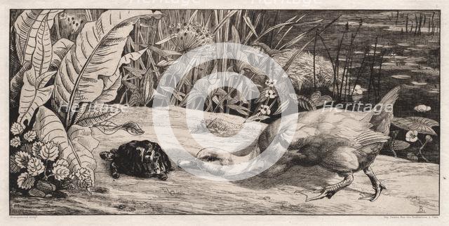 The Unknown, 1862. Creator: Félix Bracquemond (French, 1833-1914); A. Cadart & F. Chevalier, rue Richelieu, 66, Paris.