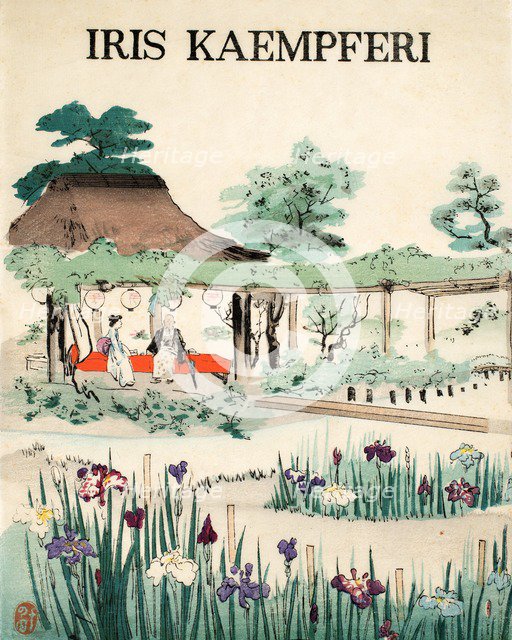 Iris Kaempferi - Front Cover, 1890, (colour woodblock print)