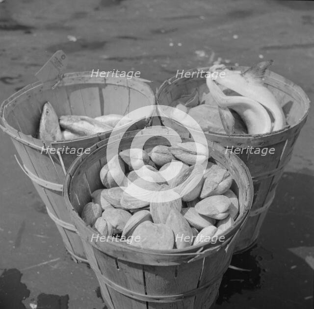 Baskets of seafood at the Fulton fish market, New York, 1943. Creator: Gordon Parks.