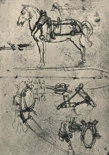 'A Harnessed Cart-Horse and Studies of Harness', c1480 (1945). Artist: Leonardo da Vinci.