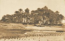 Vue de l'ile d'Eléphantine, en face d'Assouan, 1849-50. Creator: Maxime du Camp.