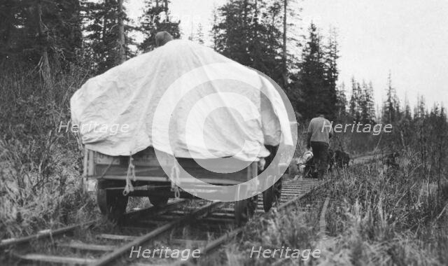 Dog team pulling railroad cart, between c1900 and c1930. Creator: Unknown.