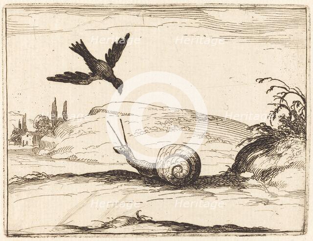 Crow and Snail, 1628. Creator: Jacques Callot.