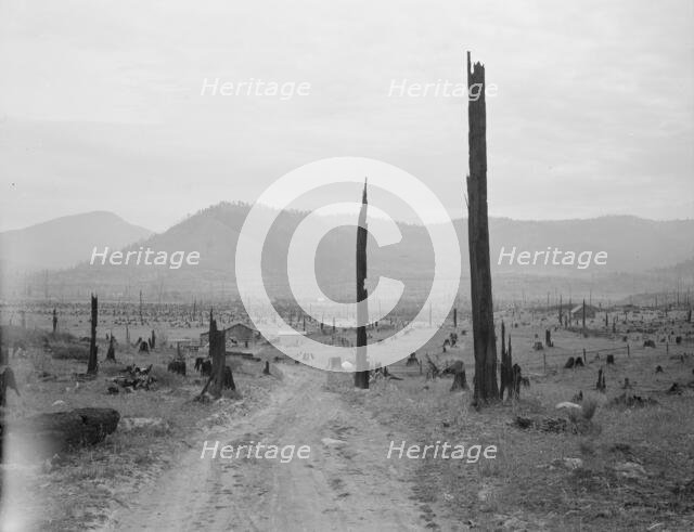 Landscape: stumps, sags, and stump farm in Priest River Valley, Bonner County, Idaho, 1939. Creator: Dorothea Lange.