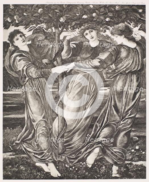 The Garden of the Hesperides, c1860s, (1900). Creator: Unknown.