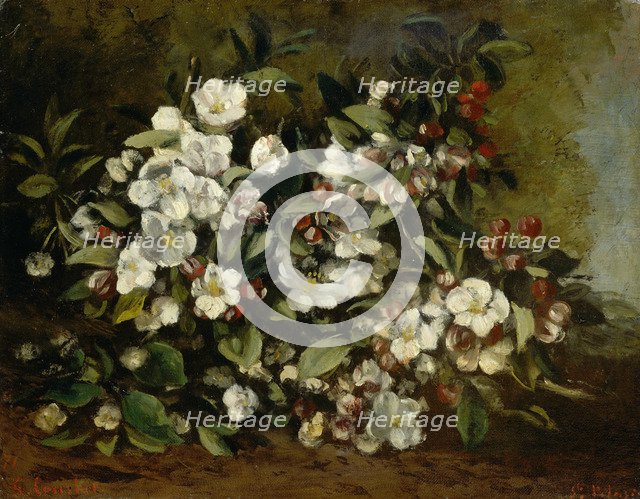 Branche de pommier en fleurs, 1872.