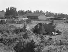 One of the forty potato camps in open field..., Malin, Klamath County, Oregon, 1939. Creator: Dorothea Lange.