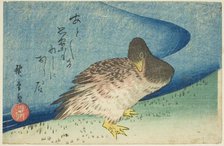 Goose on riverbank, c. 1833/34. Creator: Ando Hiroshige.