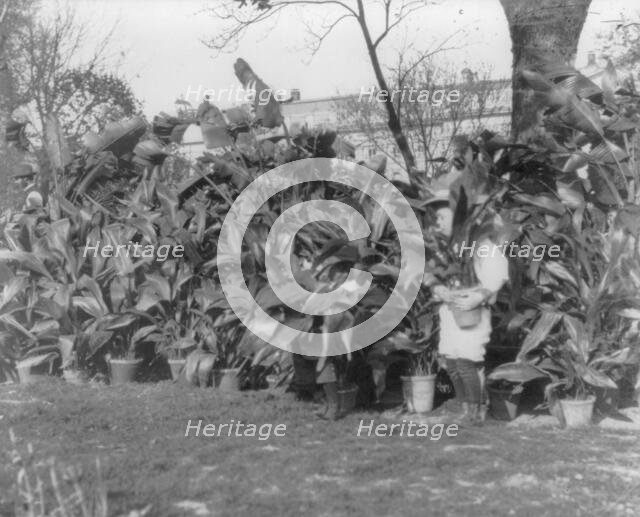 Quentin Roosevelt, 1901. Creator: Frances Benjamin Johnston.