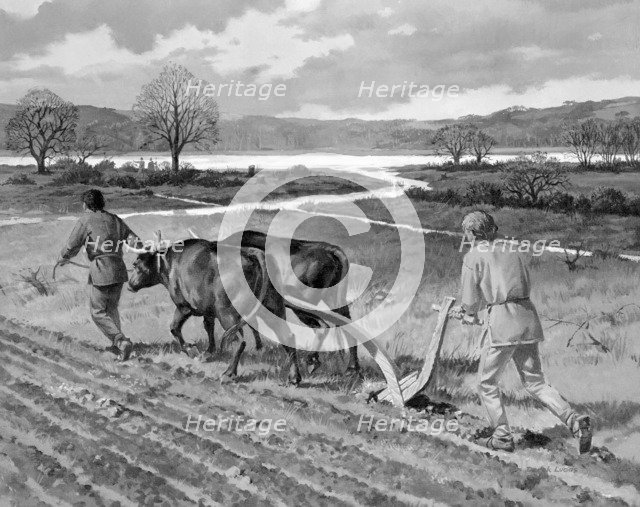 Ploughing in the Bronze Age. Artist: Unknown