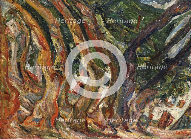 Les platanes à Céret.