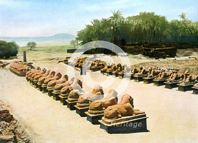 Avenue of ram-headed sphinxes, temple of Amun-Re, Karnak, Luxor, Egypt, 20th century. Artist: Unknown