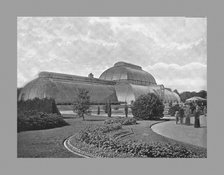The Great Palm House, Kew Gardens, London, c1900. Artists: Decimus Burton, York & Son.
