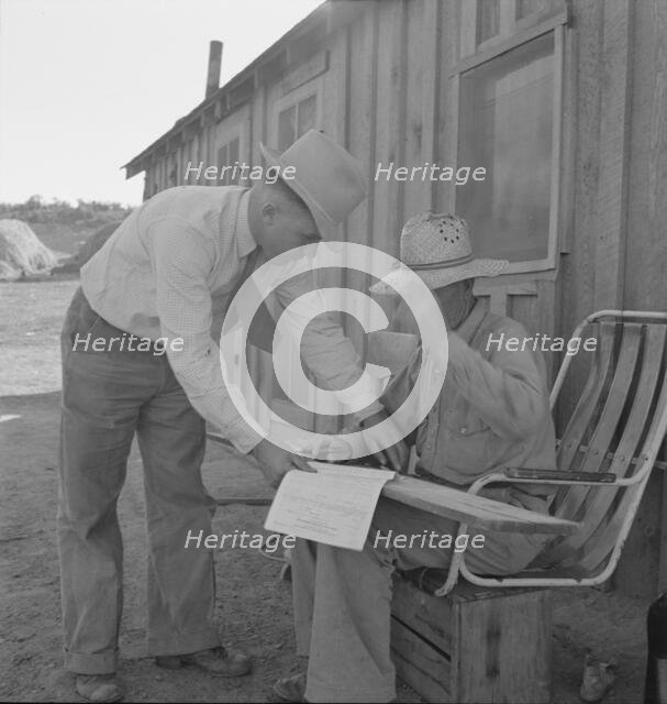 Oklahoma farmer, now living in Cow Hollow, is a FSA borrower, Malheur County, Oregon, 1939 Creator: Dorothea Lange.