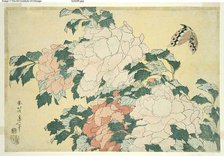 Peonies and Butterfly, from an untitled series of large flowers, Japan, c. 1833/34. Creator: Hokusai.