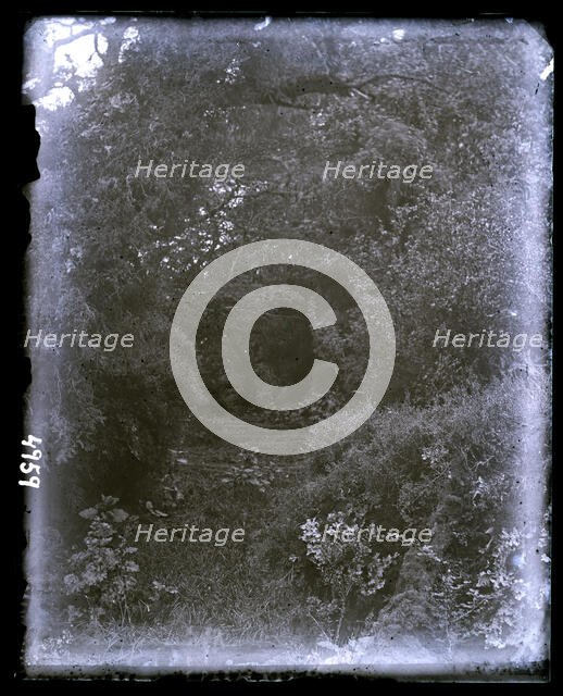 United States Fish Commission Steamer "Albatross" Circumnavigation of South America, 1888. Creator: United States National Museum Photographic Laboratory.