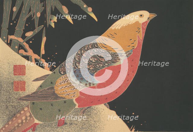 Golden Pheasant in the Snow, ca. 1900. Creator: Ito Jakuchu.
