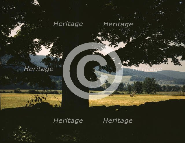Farmland along the upper Delaware River in New York state, 1943. Creator: John Collier.