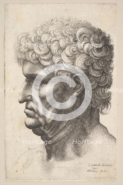 Head of a man with thick curly hair in profile to the left, 1640-49. Creator: Wenceslaus Hollar.
