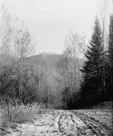 Mount Pleasant from base road, White Mountains, ca 1900. Creator: Unknown.