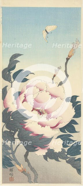 Peony with butterfly, 1925-1936. Creator: Ohara, Koson (1877-1945).