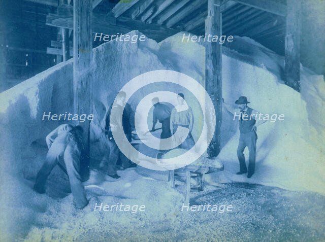 Salt mines, c1893. Creator: Frances Benjamin Johnston.