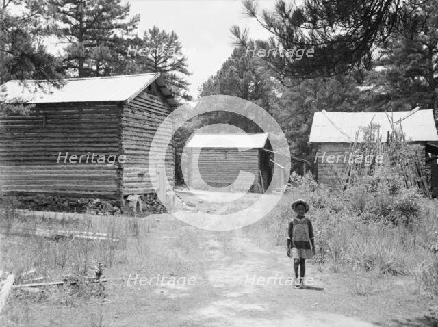 Tobacco barns on the Stone place, Upchurch, North Carolina, 1939. Creator: Dorothea Lange.