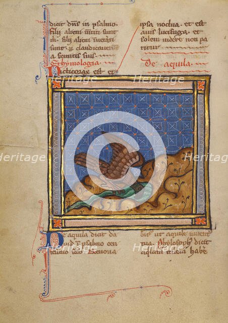An Eagle; Bestiary, about 1270. Creator: Unknown.