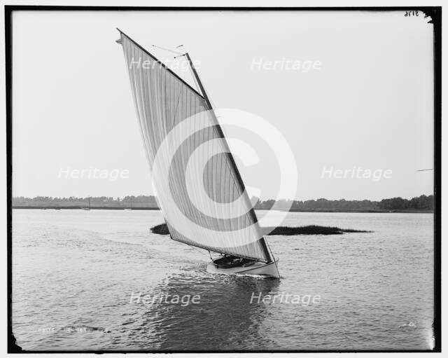 Rocket, between 1880 and 1899. Creator: Unknown.