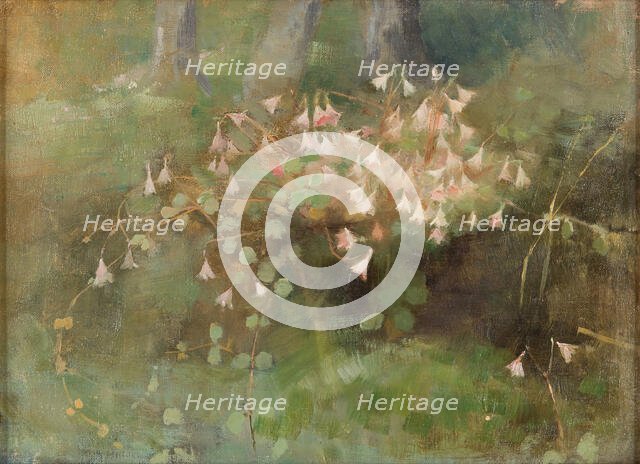 Twinflowers, 1886. Creator: Schjerfbeck, Helene (1862-1946).