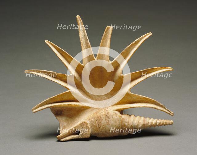 Shell, 400-325 BC. Creator: Unknown.