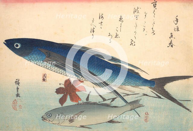 Tobiuo and Ishimochi Fish, from the series Uozukushi (Every Variety of Fish), 1840s., 1840s. Creator: Ando Hiroshige.