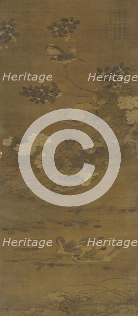 Flowers, Ducks, and other Birds, Ming or Qing dynasty, 15th-18th century. Creator: Unknown.