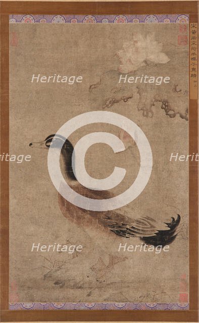 Drake and lotus flowers, Yuan dynasty, 1279-1368. Creator: Unknown.