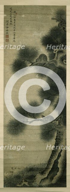 Squirrels on a pine tree, 1795 - 1855. Creator: Yi Shaozuo.