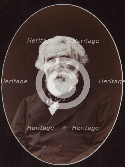 Portrait of the author Ivan Sergeyevich Turgenev (1818-1883), 1880.