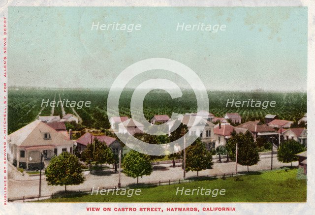 Castro Street, Hayward, California, 1905. Artist: Unknown