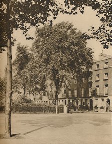 'In Boarding-House Land: The Plane Trees of Torrington Square', c1935. Creator: Donald McLeish.