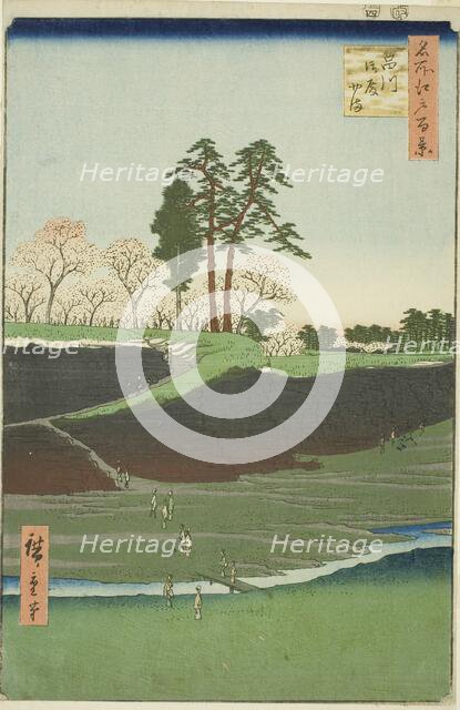 Goten Hill at Shinagawa (Shinagawa Gotenyama), from the series "One Hundred Famous...1856. Creator: Ando Hiroshige.