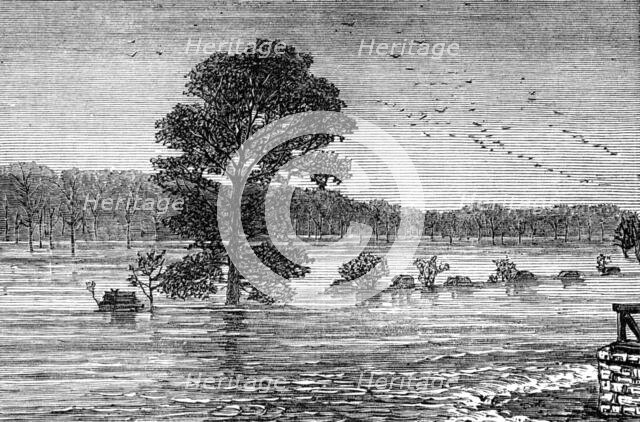 Inundations in the United States: Cumberland River, from the railroad bridge, 1874. Creator: Unknown.