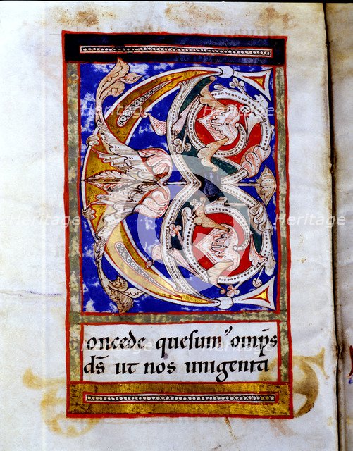Drop cap 'C' illuminated with floral motives in the 'Sacramentary of San Juan de las Abadesas', m…