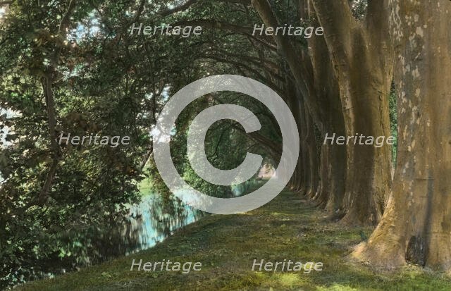 Chateau of Courances, Courances, Seine-et-Marne, France, 1925. Creator: Frances Benjamin Johnston.