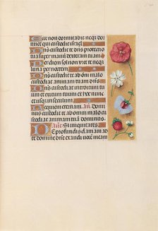 Hours of Queen Isabella the Catholic, Queen of Spain: Fol. 222r, c. 1500. Creator: Master of the First Prayerbook of Maximillian (Flemish, c. 1444-1519); Associates, and.